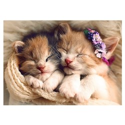 Trefl (37271) - "Sleeping kittens" - 500 pieces puzzle