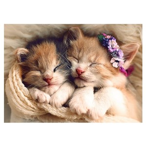 Trefl (37271) - "Sleeping kittens" - 500 pieces puzzle