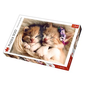 Trefl (37271) - "Sleeping kittens" - 500 pieces puzzle
