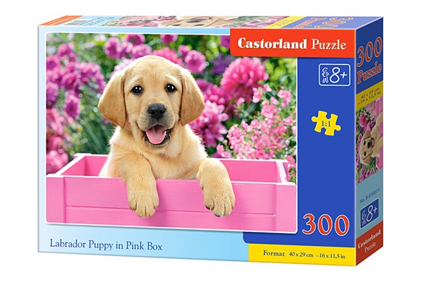 Castorland (B-030071) - "Labrador Puppy in Pink Box" - 300 pieces puzzle