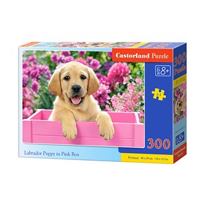 Castorland (B-030071) - "Labrador Puppy in Pink Box" - 300 pieces puzzle