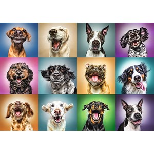 Trefl (10462) - "Funny Dog Portraits" - 1000 pieces puzzle