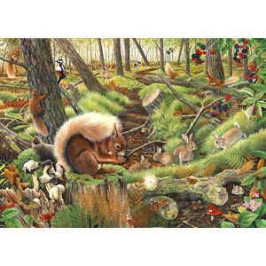 The House of Puzzles (3688) - "Save Our Squirrels" - 1000 pieces puzzle