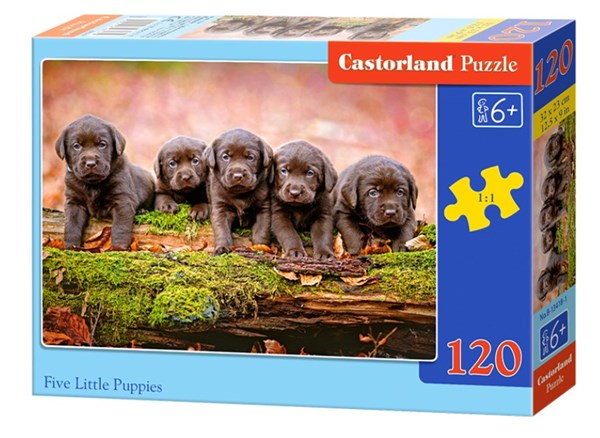 Castorland (B-13418) - "Puppies" - 120 pieces puzzle