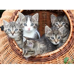 Grafika Kids (00520) - "Kittens in a Basket" - 300 pieces puzzle