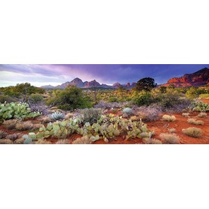 Ravensburger (15069) - "Magical Desert" - 1000 pieces puzzle