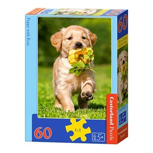 Castorland (B-06939) - "Puppy with Rose" - 60 pieces puzzle