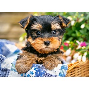 Castorland (B-030187) - "Puppy on a Picnic" - 300 pieces puzzle