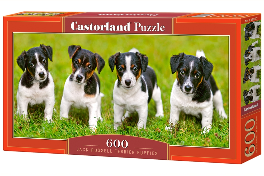 jack russell jigsaw puzzle