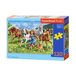 Castorland (B-13029) - "The girl and the horses in meadow" - 120 pieces puzzle
