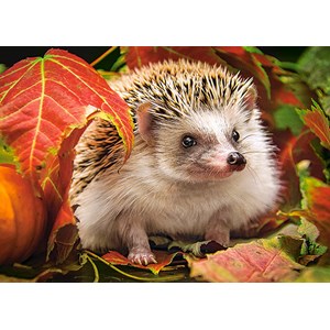 Castorland (B-018338) - "Hedgehog" - 180 pieces puzzle