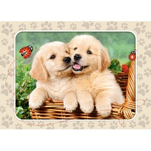 Castorland (B-06786) - "Golden Retriever Pups" - 60 pieces puzzle