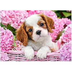 Castorland (B-018185) - "Pup in Punk Flowers" - 180 pieces puzzle