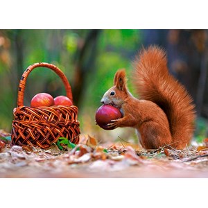 Castorland (B-13302) - "Squirrel's Supplies" - 120 pieces puzzle