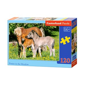 Castorland (B-12909) - "Ponies in grassland" - 120 pieces puzzle
