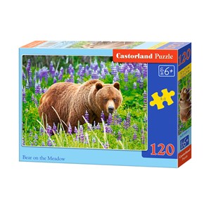Castorland (13425) - "Bear" - 120 pieces puzzle