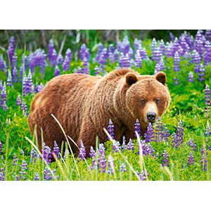 Castorland (13425) - "Bear" - 120 pieces puzzle