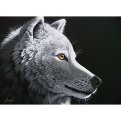 Grafika Kids (01653) - Schim Schimmel: "Wolf Light" - 300 pieces puzzle