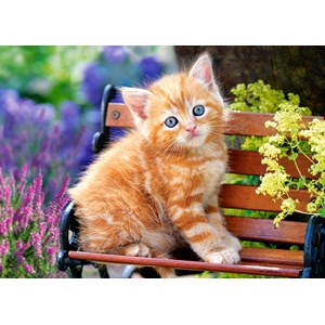 Castorland (B-018178) - "Ginger Kitten" - 180 pieces puzzle
