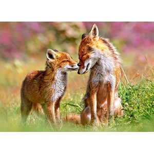 Castorland (B-13241) - "Little Fox and His Mum" - 120 pieces puzzle