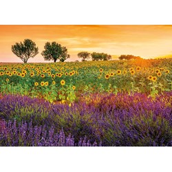 Educa (17669) - "Field of sunflowers and lavender" - 1500 pieces puzzle