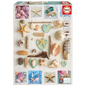 Educa (17658) - "Seashells collage" - 1000 pieces puzzle