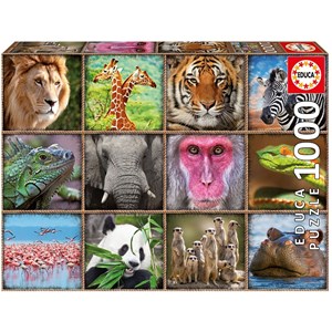 Educa (17656) - "Wild animals collage" - 1000 pieces puzzle