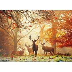 Heye (29805) - Alex Aberi: "Stags" - 1000 pieces puzzle