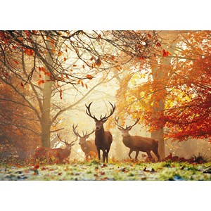Heye (29805) - Alex Aberi: "Stags" - 1000 pieces puzzle