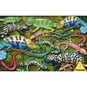 Piatnik (555343) - "Salamander" - 1000 pieces puzzle