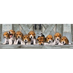 Clementoni (39076) - "Beagles" - 1000 pieces puzzle