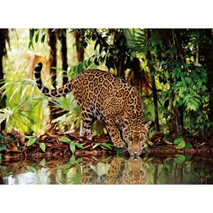 Clementoni (32537) - "Leopard" - 2000 pieces puzzle