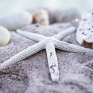 Ravensburger (19920) - "Maritime Impressions Multi" - 500 pieces puzzle