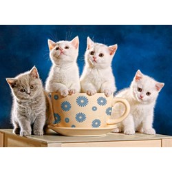 Castorland (B-52608) - "Looking for Milk" - 500 pieces puzzle