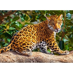 Castorland (B-27392) - "Little Jaguar" - 260 pieces puzzle
