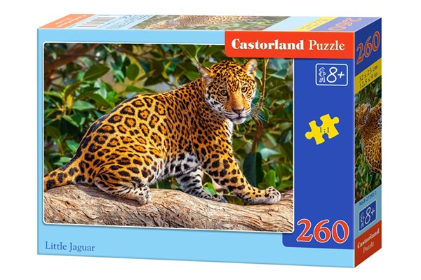 Castorland (B-27392) - "Little Jaguar" - 260 pieces puzzle
