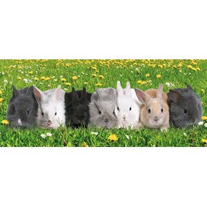 Ravensburger (12696) - "Rabbit Parade" - 200 pieces puzzle