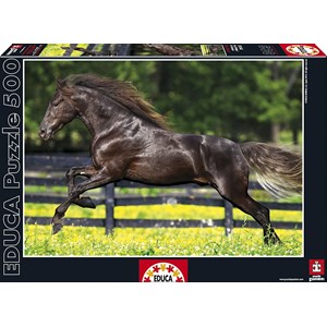 Educa (15148) - "Full Gallop" - 500 pieces puzzle