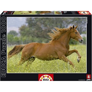 Educa (15522) - "At Full Gallop" - 1000 pieces puzzle