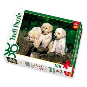 Trefl (15157) - "Little Labradors" - 160 pieces puzzle