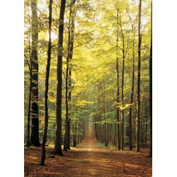 Eurographics (6000-3846) - "Forest Path" - 1000 pieces puzzle