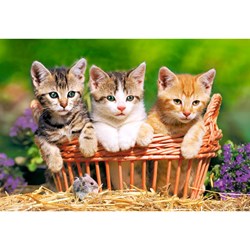 Castorland (B-021116) - "Kittens into the garden" - 165 300 pieces puzzle