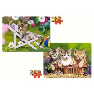 Castorland (B-021116) - "Kittens into the garden" - 165 300 pieces puzzle