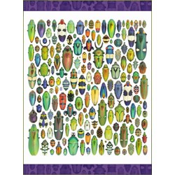 Pomegranate (AA286) - Christopher Marley: "Exquisite Creatures" - 1000 pieces puzzle