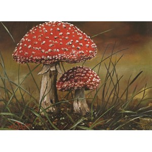 PuzzelMan (236) - Nico Bulder: "Mushrooms" - 99 pieces puzzle