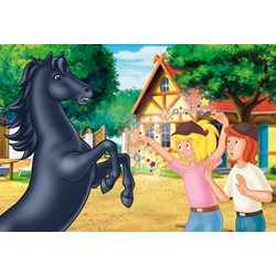 Schmidt Spiele (56078) - "The wild stallion" - 100 pieces puzzle