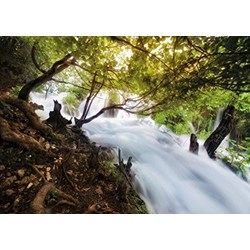 Tactic (40901) - "Waterfall in Forest" - 1000 pieces puzzle