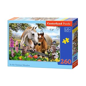 Castorland (B-27309) - "In the Summer Meadow" - 260 pieces puzzle