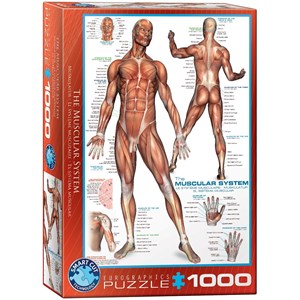 Eurographics (6000-2015) - "The Muscular System" - 1000 pieces puzzle
