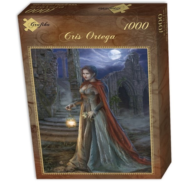 Grafika (00966) - Cris Ortega: "Waiting in the Dark" - 1000 pieces puzzle